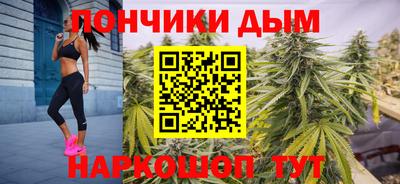 стаф Можга