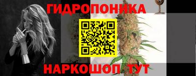стаф Можга