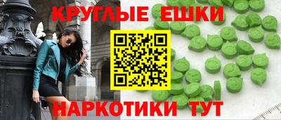 стаф Можга