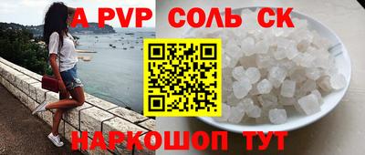 стаф Можга