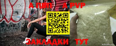 стаф Можга