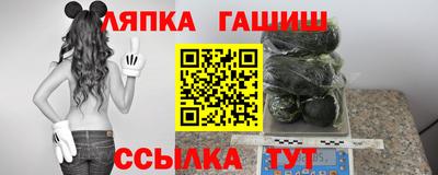 стаф Можга