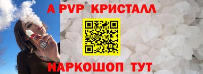 стаф Можга