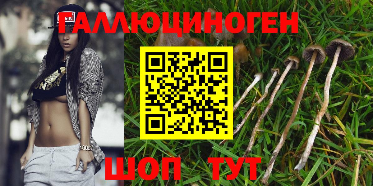 Галлюциногенные грибы Magic Shrooms Кореновск